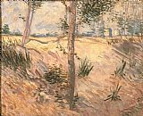 Arbre dans un champ 1887 by Vincent van Gogh